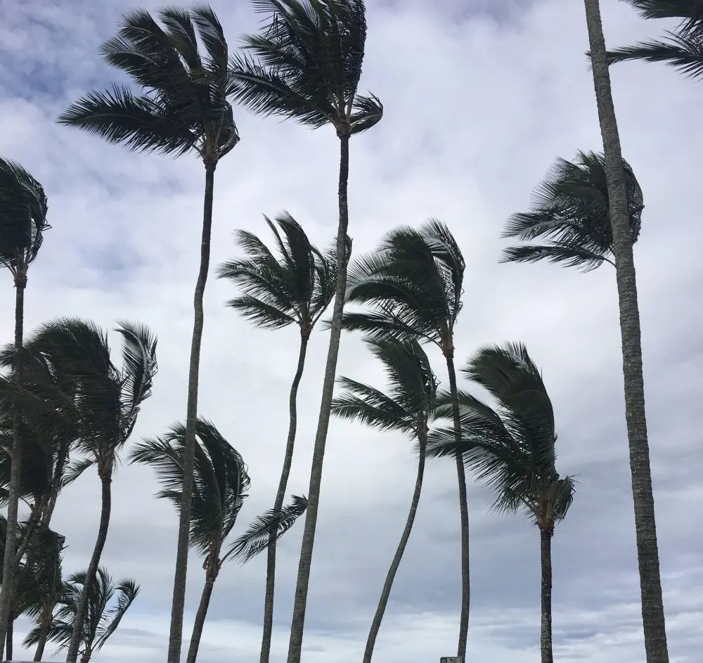 big-island-wind-jpeg-10