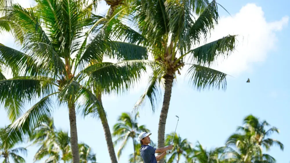 2026-sony-open-ap-photo-jpg-2