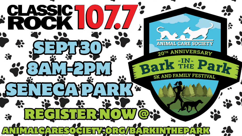 Bark in the Park Festival 2022