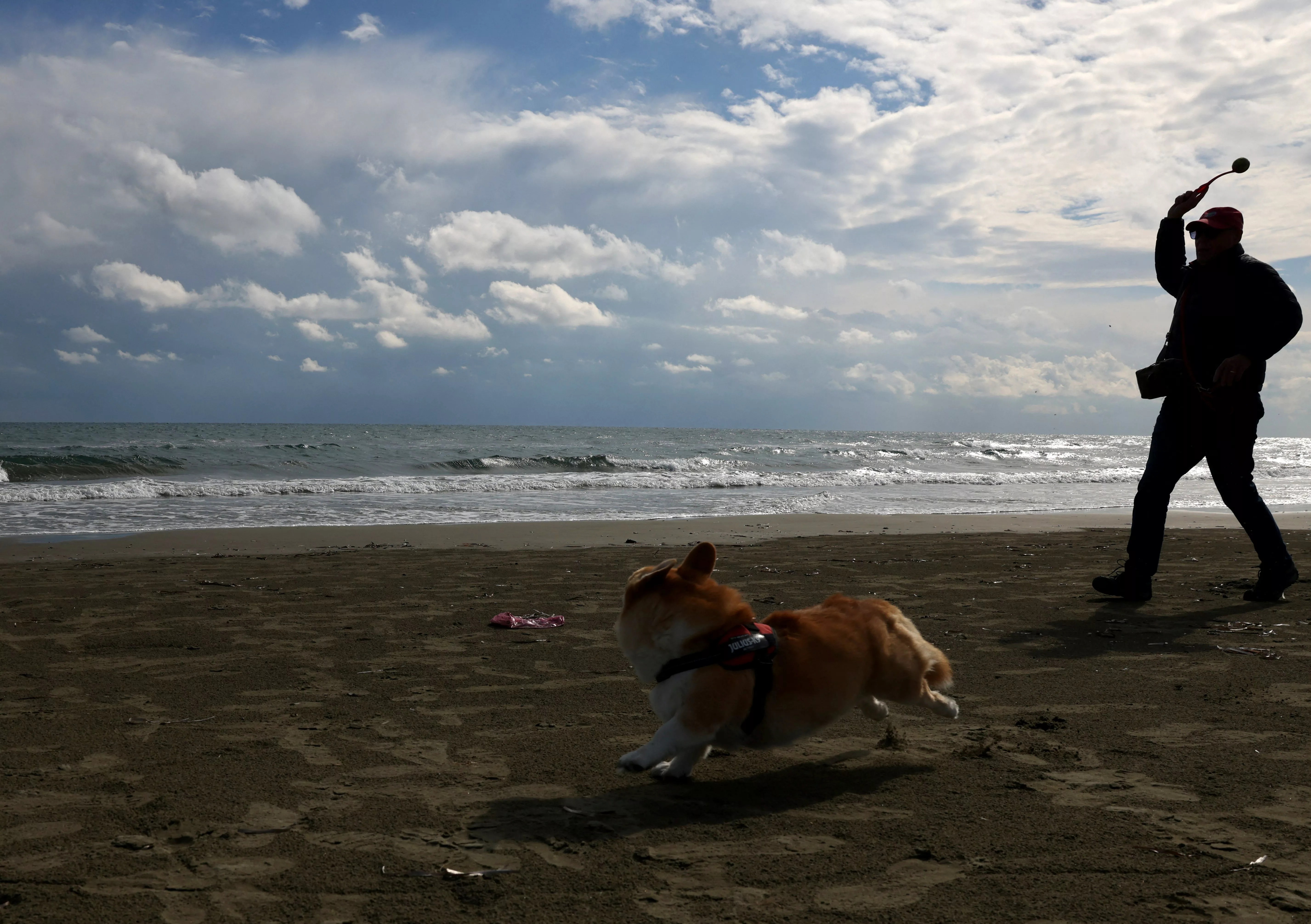 a-man-throws-a-ball-for-his-dog-on-the-beach-in-larnaca