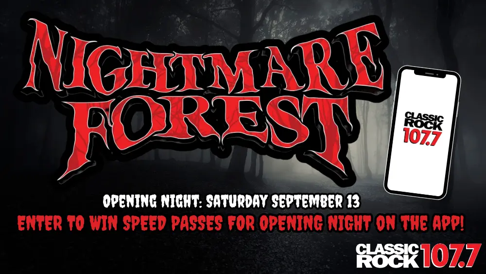 wsfr-nightmare-forest-web-contest-2024-2