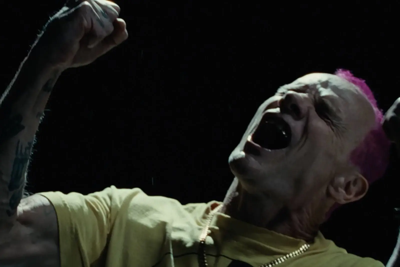 attachment-flea-photo-2-by-clara-balzary