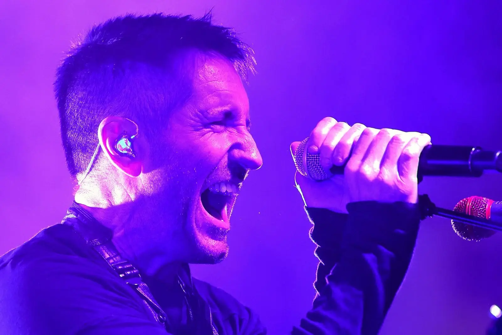 attachment-nin-trent