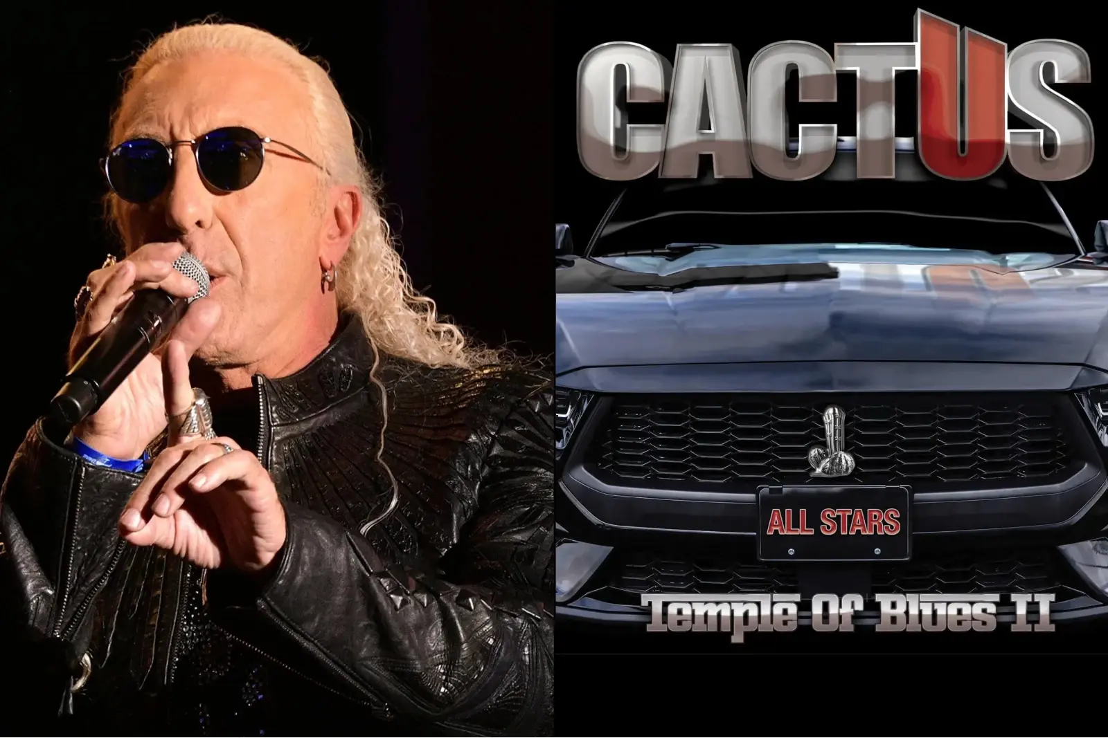 attachment-dee-snider-cactus-2026