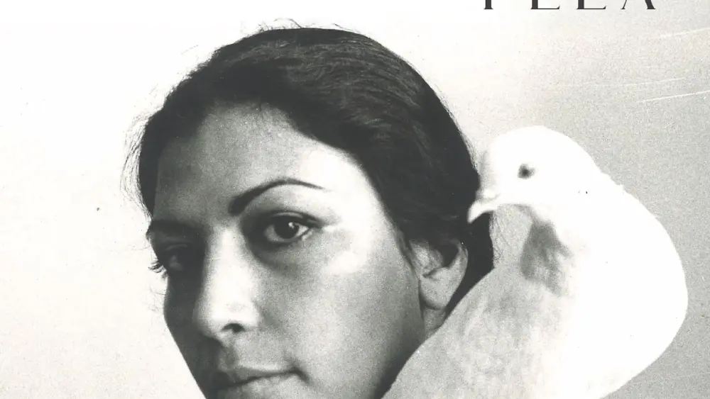 attachment-nonesuch-7