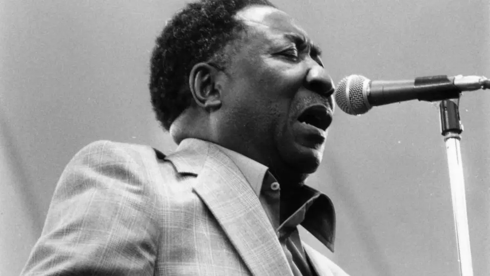 attachment-muddywaters