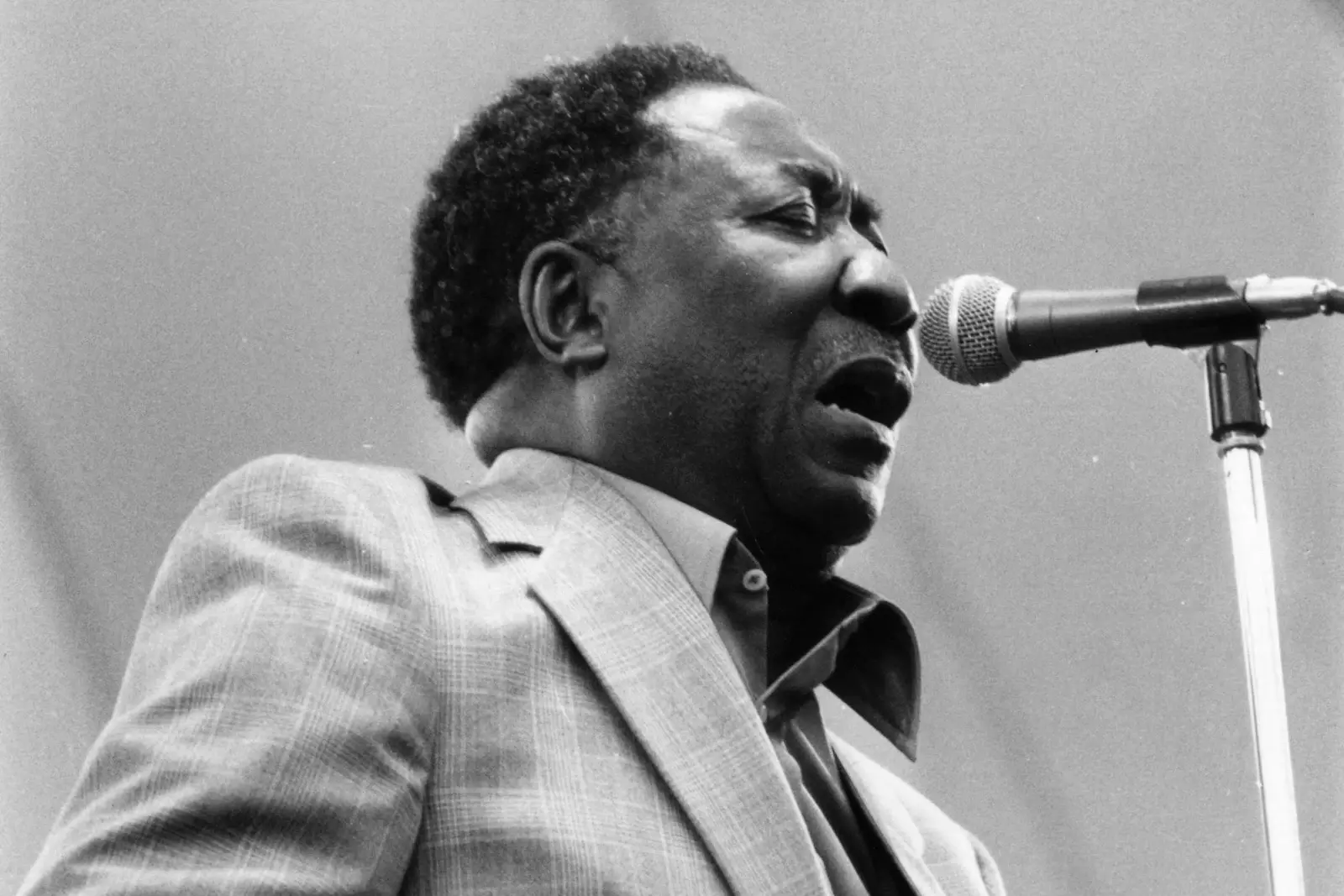 attachment-muddywaters