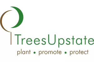 trees-upstate