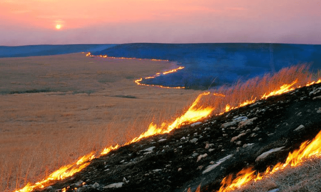 flint-hills-burning