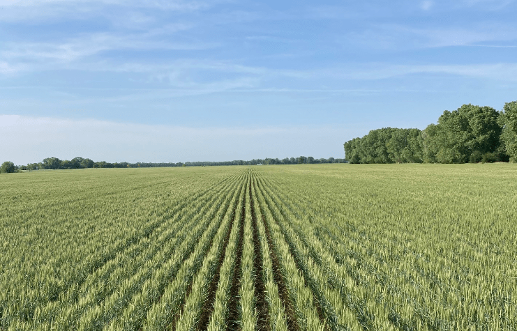 farm-field-2