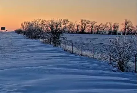 screenshot-2025-02-17-163202