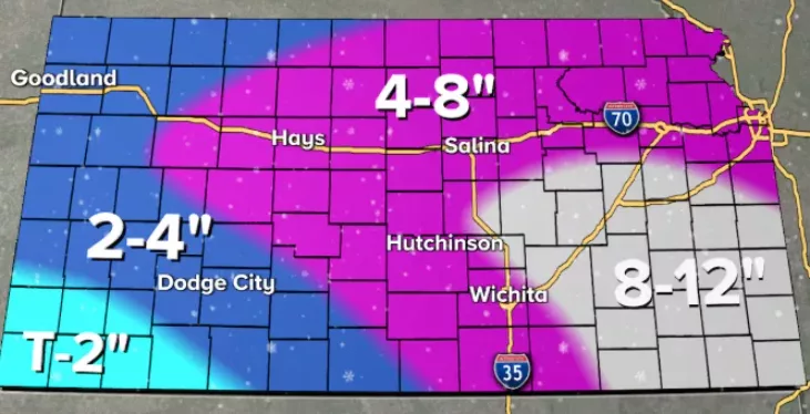 screenshot-2025-02-17-091456-2