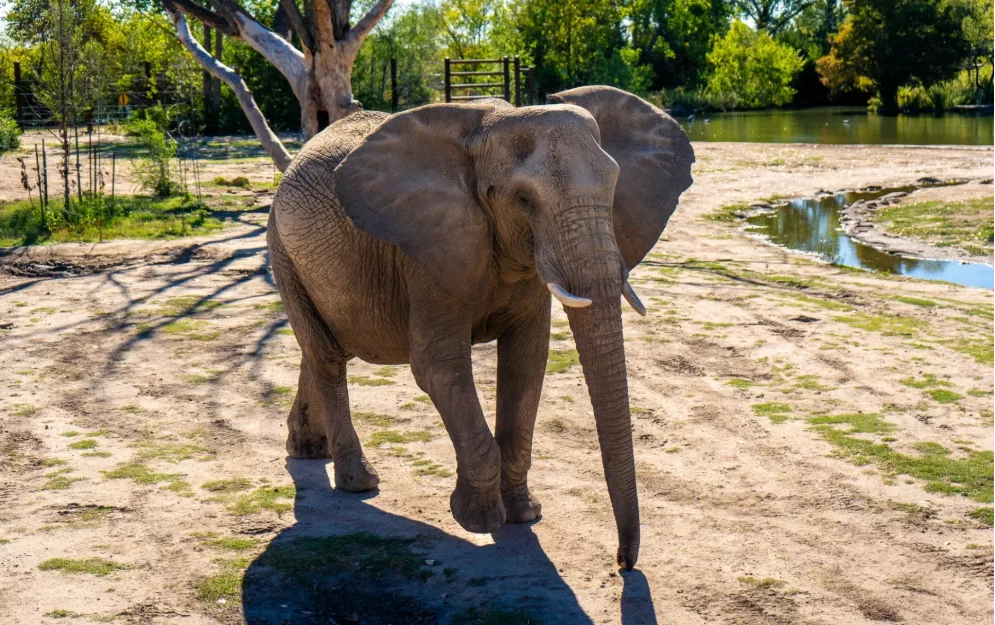 screenshot-2025-03-18-094204