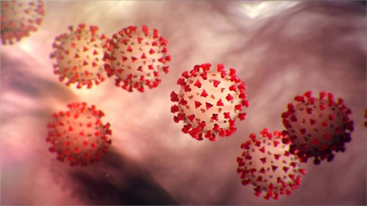 coronavirus-2-jpg-2