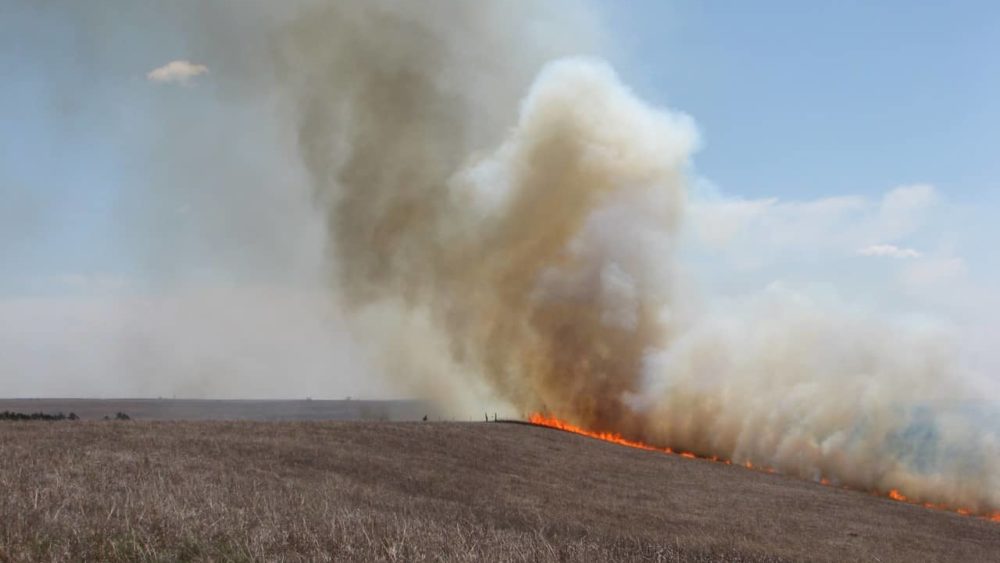 tallgrass-burning-jpg