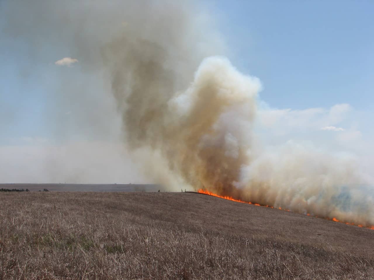 tallgrass-burning-jpg