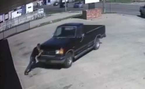 pig-in-pig-out-crash-jpg-3