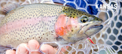 kansas-trout-png-2