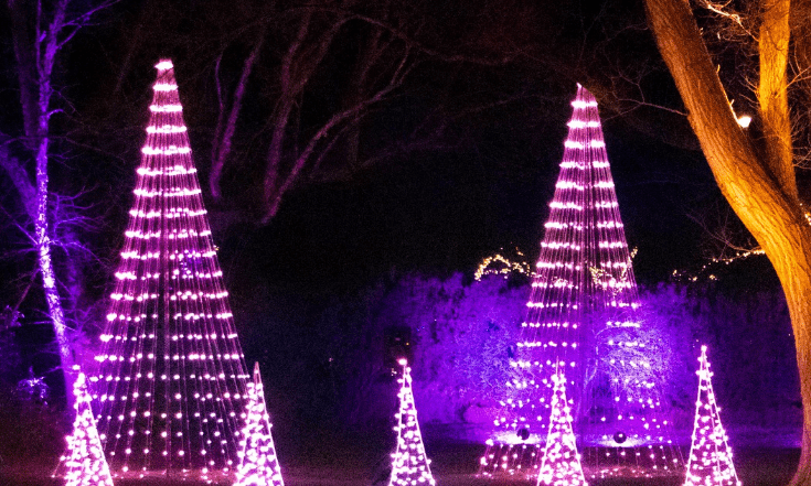 illuminations-2-png-2