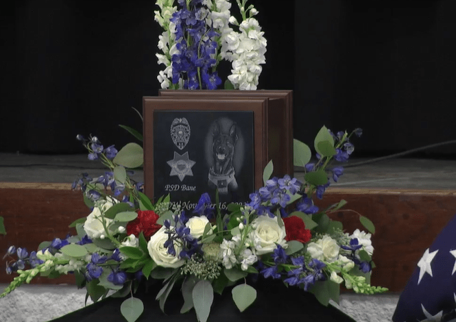 bane-memorial-3-png