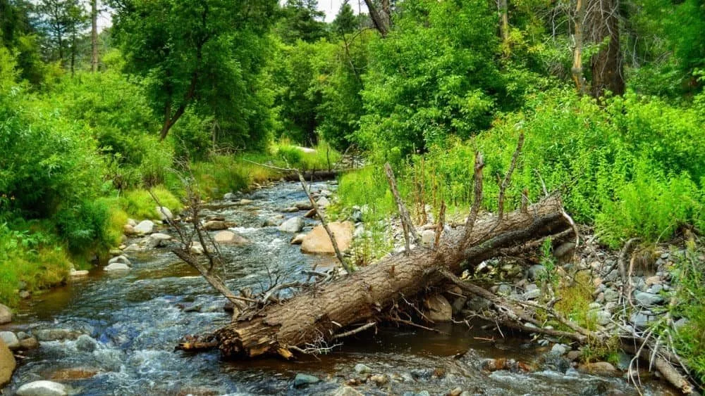 Ruidoso River in Ruidoso^ New Mexico.