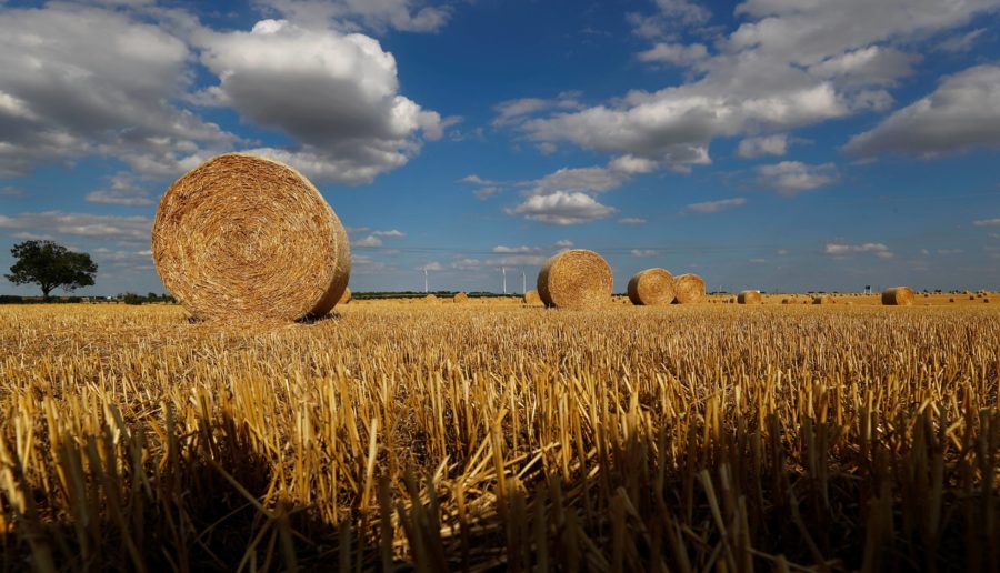 harvest_bale_field_generic-jpg