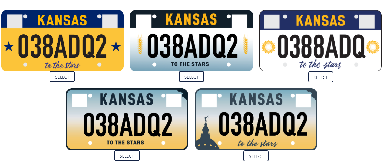 licence-plate-options-png