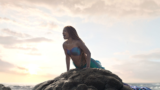 e_the_little_mermaid_031223452186