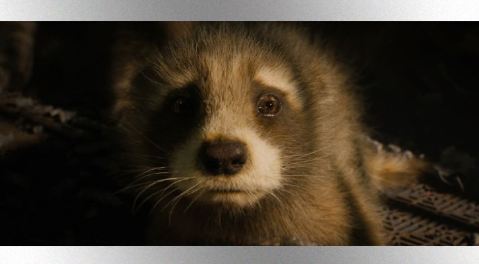 e_baby_rocket_05032023991266