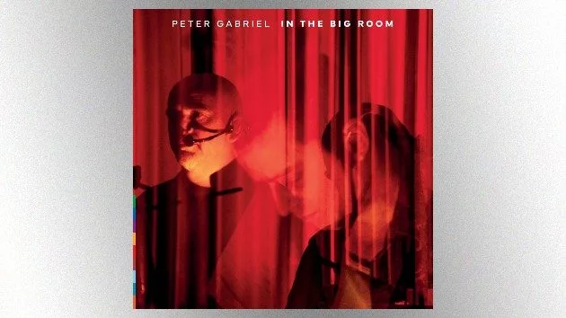 m_petergabrielinthebigroom29962725154855