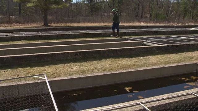 fpfh3esdajkqfhvnbfkiwwjdwy312987