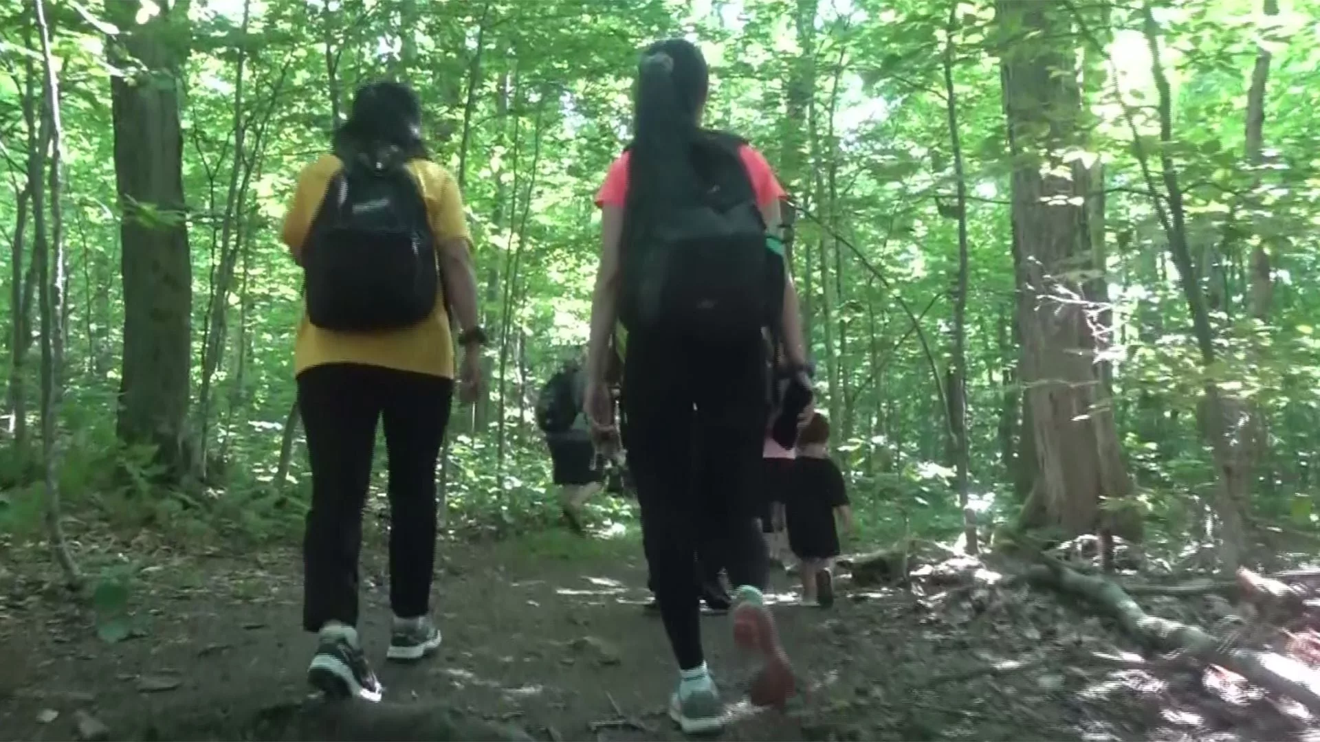 3fxvcxn4mrh6vkad5sallhjzyu691544