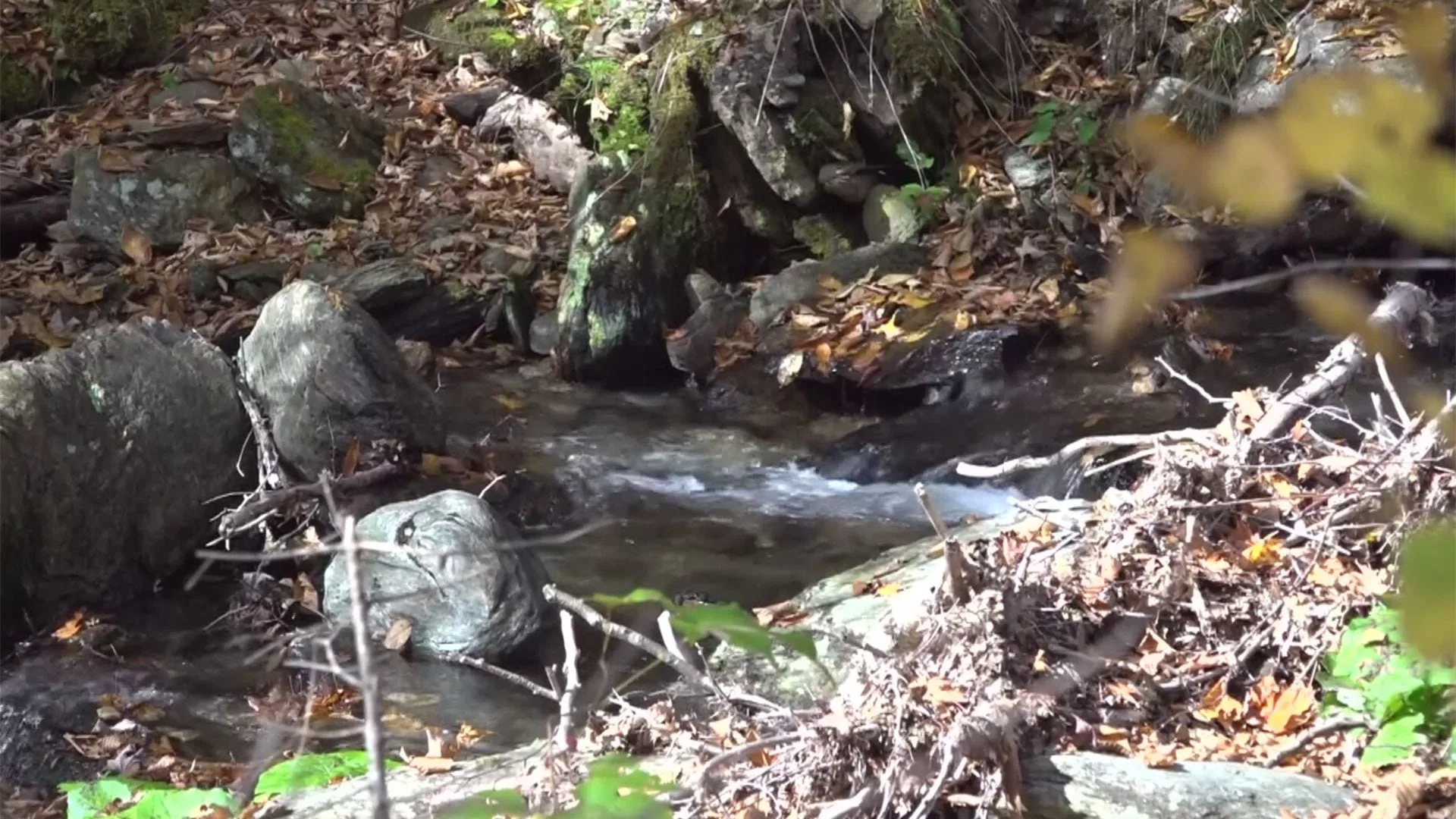 naemidb35redldg7xmqdkpl2cy877546