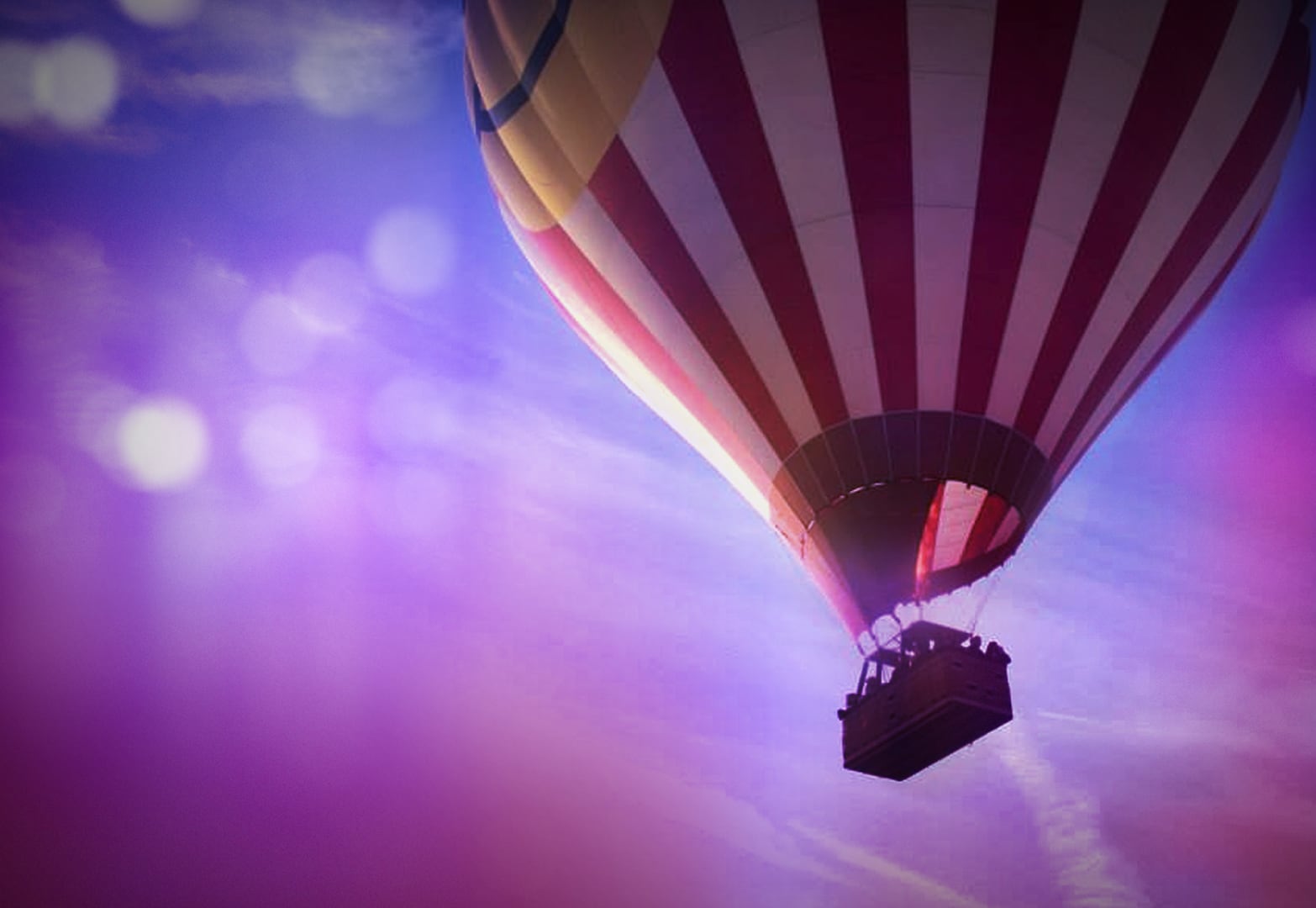 wrwifkrponhjlmzd7zhnyslcce804180