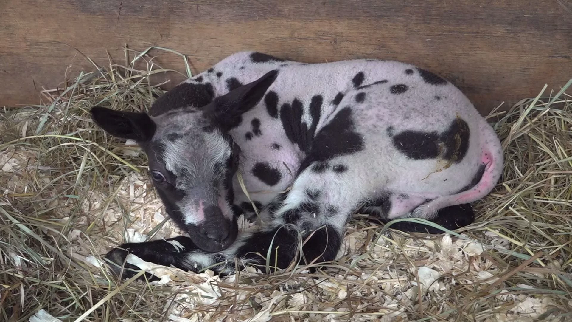 i4ymefoxnngu7oifhveohbtehu886578