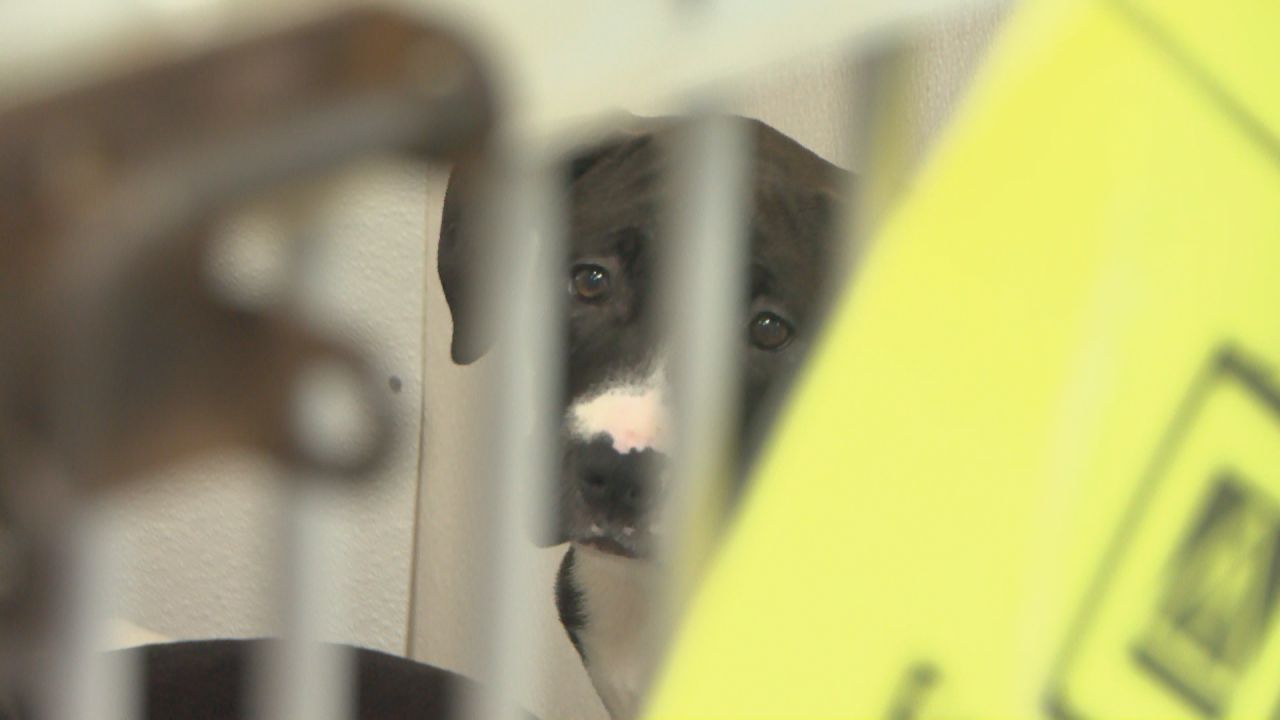 hm4pfhd4uvexnkfxi4oxlrjuqi11385