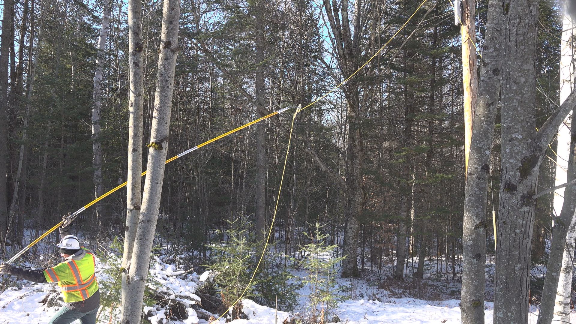 wderta4vnzhqfgbki7hedzqo5i131447