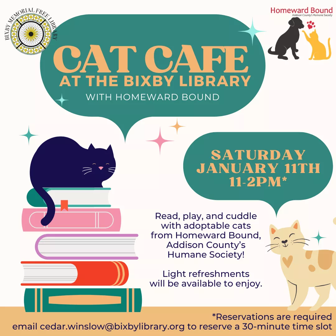 cat-cafe-square-1-1