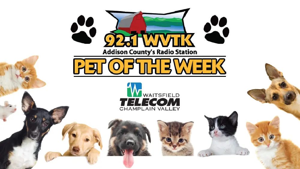 petoftheweek