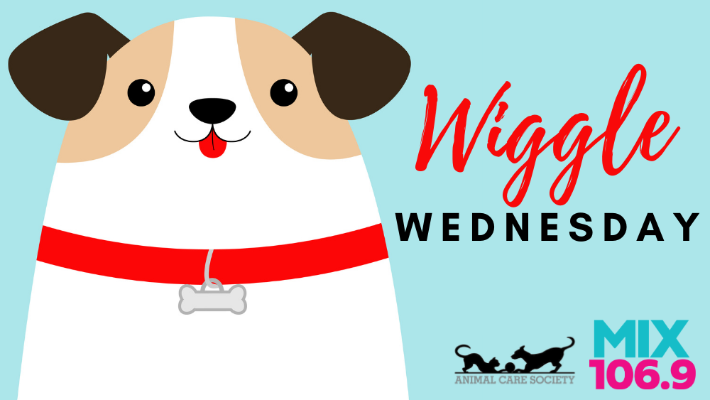 Wiggle Wednesday!