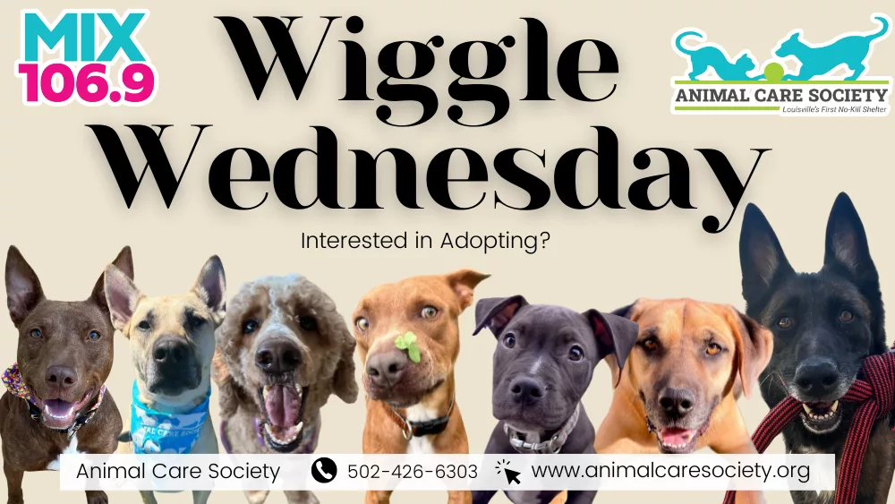 wiggle-wednesday-pic-graphics-9