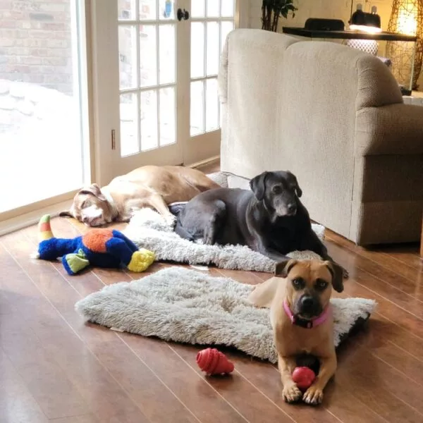 email_and_blog-blog-image-750x750-8-600x600649403-1