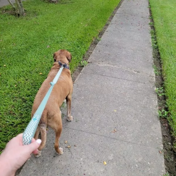 email_and_blog-blog-image-750x750-14-600x600880049-1