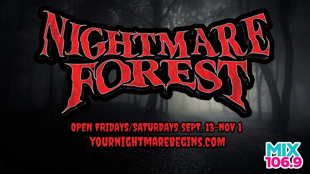 wsfr-nightmare-forest-2024-9