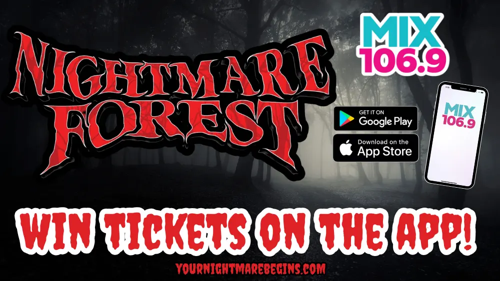 wsfr-nightmare-forest-2024-2