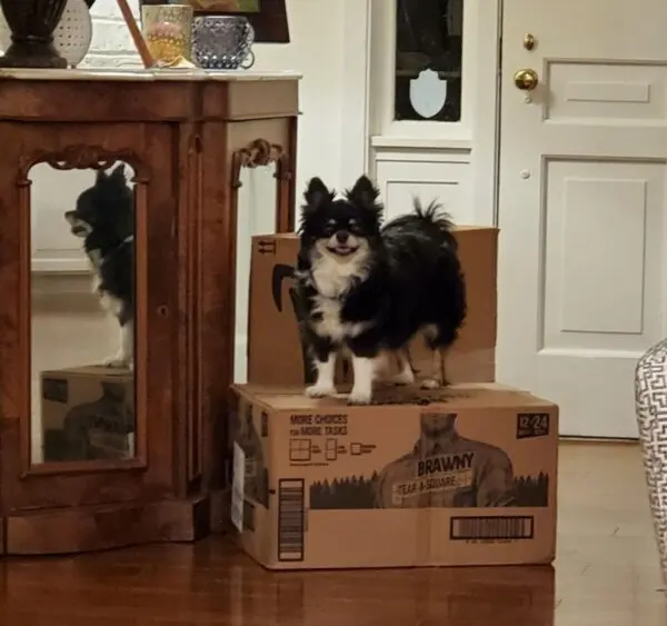 233282a4f88d680f40fa164f1bf03101d3024634828ad3de7064017b75400997716bb3c07f760f355d158a72c5e5a30cd4ca7103076589e510fe342db71dd3f9-600x600211225-1