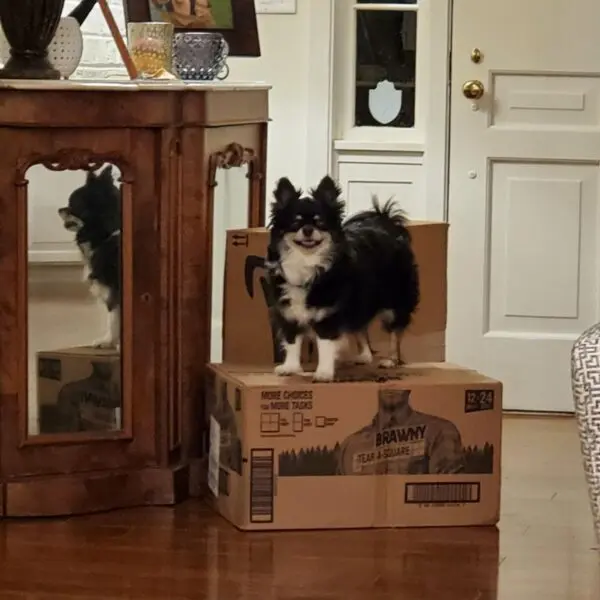 233282a4f88d680f40fa164f1bf03101d3024634828ad3de7064017b75400997716bb3c07f760f355d158a72c5e5a30cd4ca7103076589e510fe342db71dd3f9-600x600211225-1