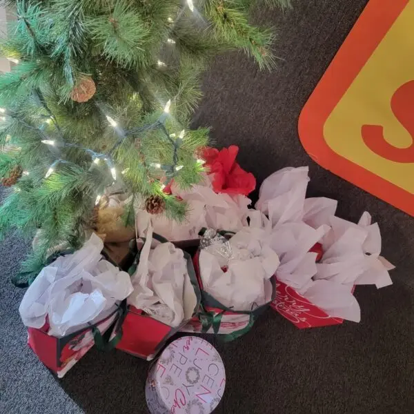 2e9d328e4fd24cc21fee0a72a6ee41e110bc7ec10fc1c04d4803c323509a2ac73403c2330068a5a441b31f7cda033a76e8cccce885c3b9f377428eef08c9f93c-600x600552257-1