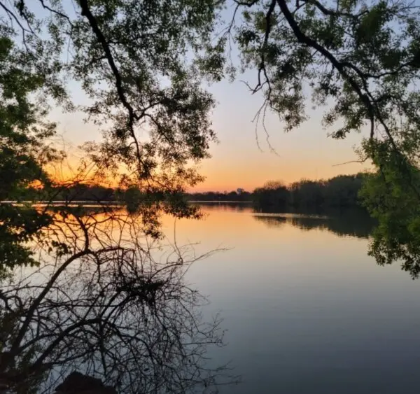 dd5e32e7f2d79c74932b466838676feb6b8a8d887efe1149406c4e80f2c5d602625586a84bf1d7a5c10c5ce477f90e12c22478c6cd47650a512f9219b234f6e1-600x600403913-1