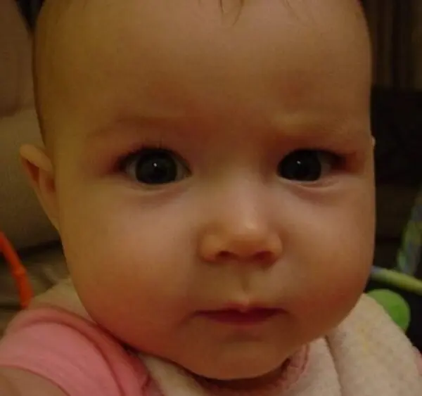 email_and_blog-blog-image-750x750-2-600x600856505-1